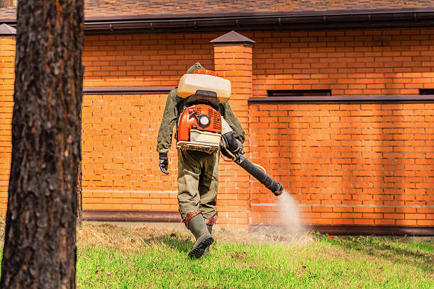 Top rated local Wasp Removal specialists in Bellair-Meadowbrook Terrace, FL